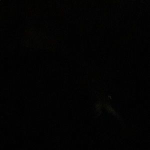 Meet your Posher, Lawrence